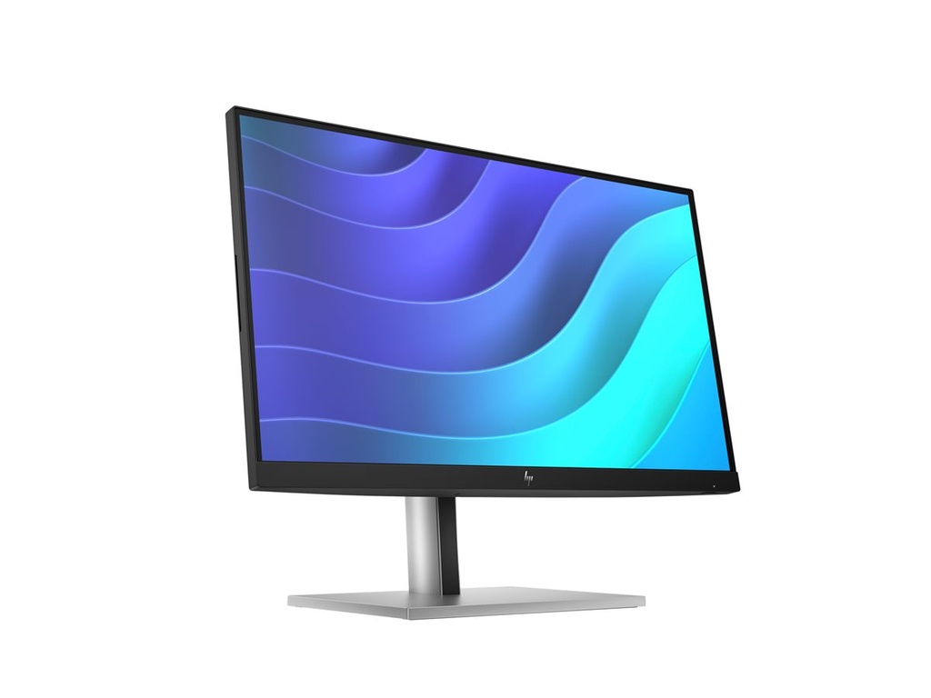 HP E22 G5 FHD Monitor