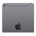 Apple iPad mini 5 Wi-Fi + Cellular - 5e Gen tablet