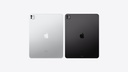 Apple iPad Pro Wi-Fi + Cellular 7th Gen