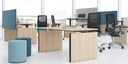 Motion Sit-Stand Desk