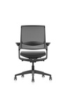 LX005 Premium Desk Chair