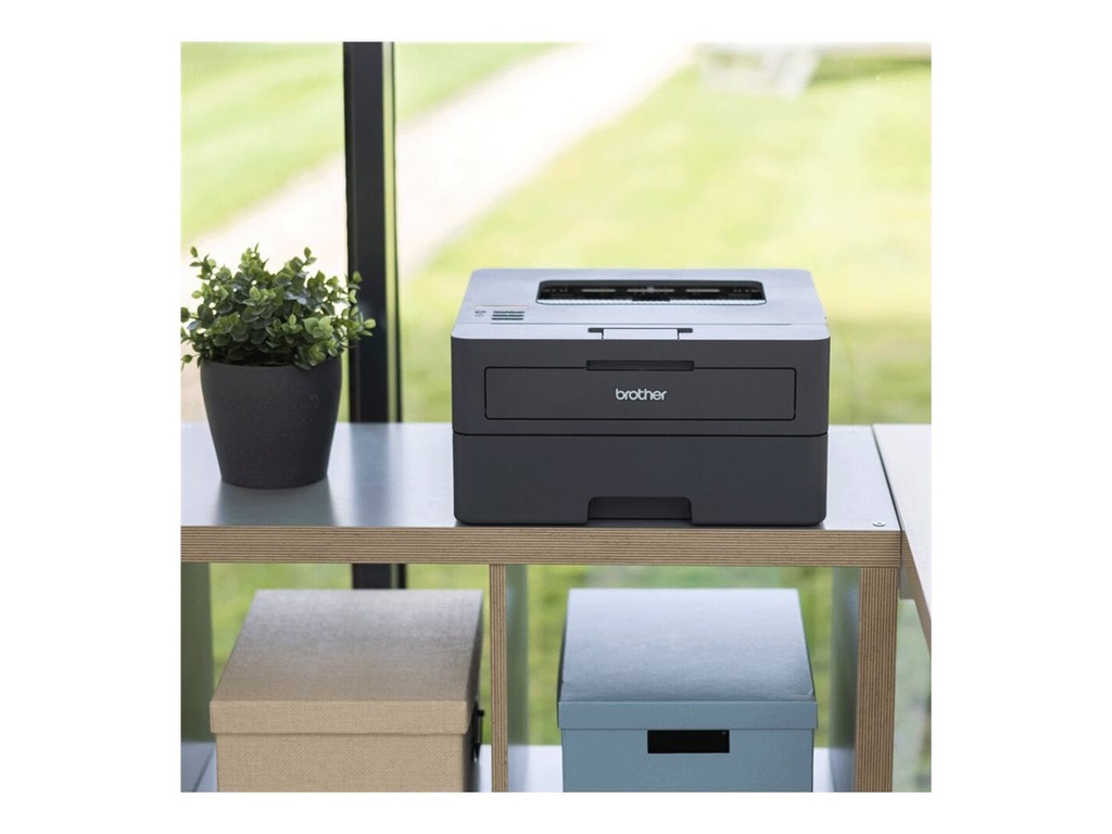 Brother HL-L2445DW